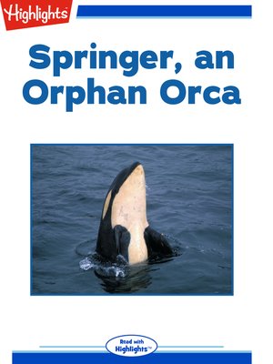 cover image of Springer, an Orphan Orca